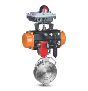 Double Offset Butterfly Valve