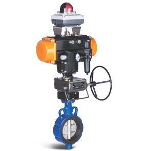 Rubber Lined Butterfly Valve